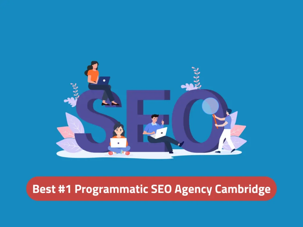 Best #1 Programmatic SEO Agency Cambridge, UK - Digital Wit